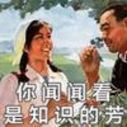 安装造价王强头像