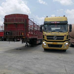 奋斗吧青春巴中小马头像