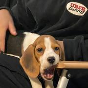 undefined的个人资料头像