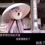 Return791头像
