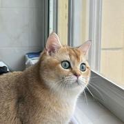 六斤鱼的个人资料头像