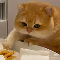 别管了都得死头像