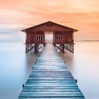 刘东升健康管理师头像