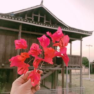 优雅的铭铭头像