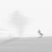 seaXll的个人资料头像