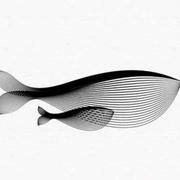 木成382的个人资料头像