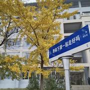 Cicero_Hsu的个人资料头像