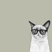 mingmengmeng的个人资料头像