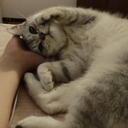 Aquae的个人资料头像