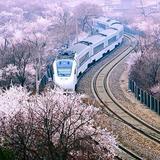 抹一世残花2头像