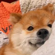 ExpectoPatronum的个人资料头像