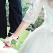 WenJie的个人资料头像