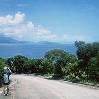 草莓汽灯的venture头像