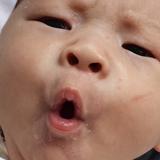 正直小鱼aLO头像