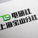 T9电研社上海宝山分社特斯拉改装张姐头像