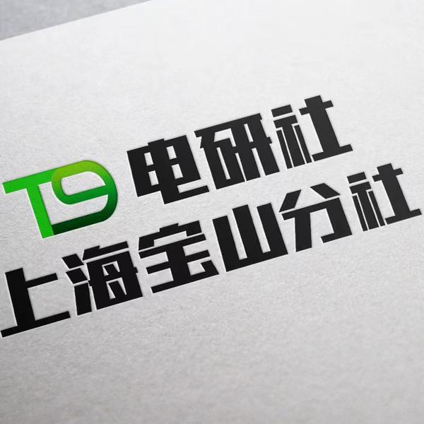 T9电研社上海宝山分社特斯拉改装张姐头像