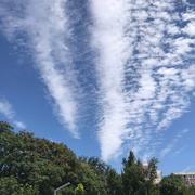 xudy的个人资料头像