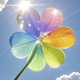 SunnyLuck6头像