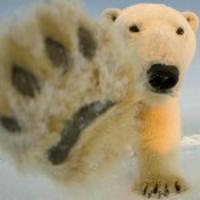 FOREVERの一方头像