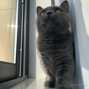 皮与皮囊的个人资料头像