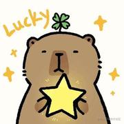 bietiaop的个人资料头像