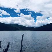 土豆啊土豆的个人资料头像