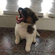 用户9939855111435的个人资料头像