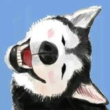 阿文7497头像