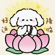 serendipity901的个人资料头像