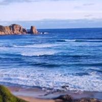 小龙虾我爱吃辣的头像