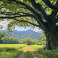 王同学WH头像