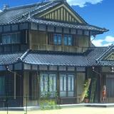 青鸟9098头像