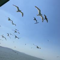 一心一意青山8Yf头像