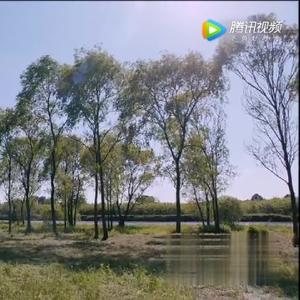 远方有什么好像去看看头像