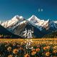 南花一会
                        头像