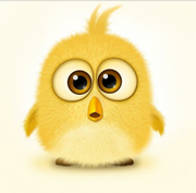 zhoqua697的个人资料头像