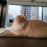 遥遥久头像