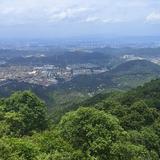小杨3i5q头像