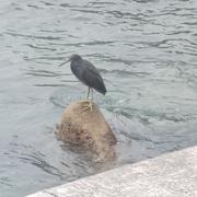 用户6550598568349的个人资料头像