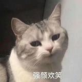 步忍头像