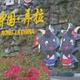 赖得甩你哦头像