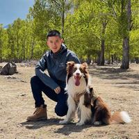 山西人在拉萨开客栈头像