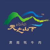 天之山下头像