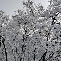 用户8728230583397头像