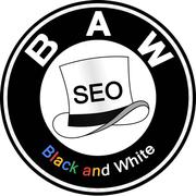 大黑谷歌SEO的个人资料头像