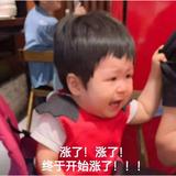 iiitani头像