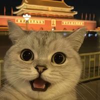 蒙迪欧蒙丢丢头像