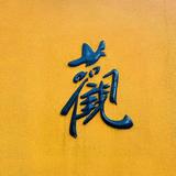 五行通背拳传人头像