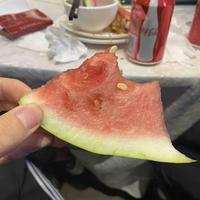 小狗牛肉xy头像