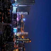 宏宏天道酬勤头像